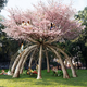 Image for article titled Behold These Incredible Works Of Architecture Made Out Of Living Trees
